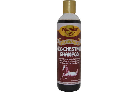 Equinade Show silk Glo Bay Shampoo